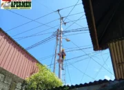Tingkatkan Keandalan Konektivitas, PLN Icon Plus Lakukan Perapian Jaringan Fiber Optic di Koto Tangah