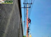 Jaga Kualitas Layanan Telekomunikasi, PLN Icon Plus Lakukan Pemeliharaan Jaringan Fiber Optic di Jalur Batung Taba Nan XX