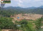PETI Masih Beroperasi di Solok Selatan, BAPERMEN Desak Penegakan Hukum Tidak Tebang Pilih