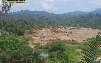 PETI Masih Beroperasi di Solok Selatan, BAPERMEN Desak Penegakan Hukum Tidak Tebang Pilih
