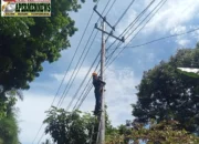 Optimalisasi Infrastruktur Telekomunikasi, PLN Icon Plus Lakukan Pemeliharaan Jaringan Fiber Optic di Jalur Padang–Painan