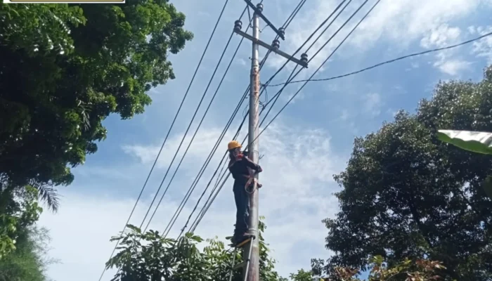 Optimalisasi Infrastruktur Telekomunikasi, PLN Icon Plus Lakukan Pemeliharaan Jaringan Fiber Optic di Jalur Padang–Painan