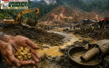WALHI Bongkar Darurat PETI di Sumbar: 10 Ribu Hektare Hutan Rusak, Sungai Tercemar dan 50 Korban Jiwa Berjatuhan