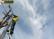Tingkatkan Stabilitas Layanan Telekomunikasi, PLN Icon Plus Lakukan Pemeliharaan Jaringan Fiber Optik di Minas Barat