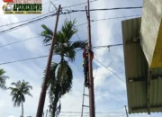 Pastikan Konektivitas Tetap Stabil, PLN Icon Plus Lakukan Perapian Kabel Fiber Optic di Talawi Sawahlunto
