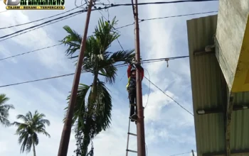 Pastikan Konektivitas Tetap Stabil, PLN Icon Plus Lakukan Perapian Kabel Fiber Optic di Talawi Sawahlunto