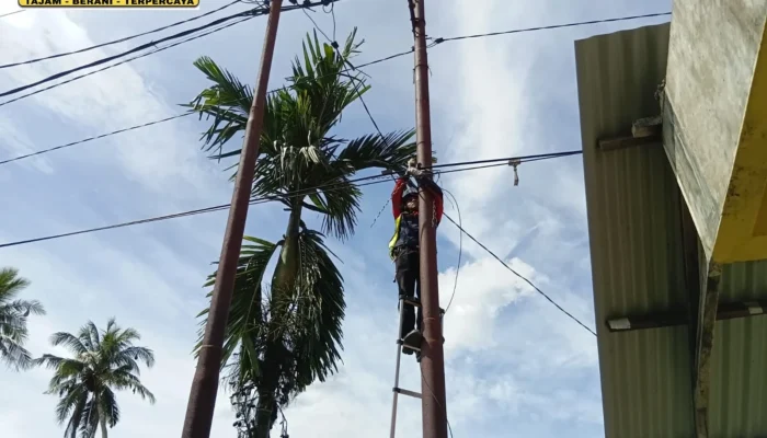 Pastikan Konektivitas Tetap Stabil, PLN Icon Plus Lakukan Perapian Kabel Fiber Optic di Talawi Sawahlunto