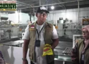 Bulog Tarik MinyaKita Produksi PT KMR yang Diduga Berbau Solar, Konsumen Dijamin Dapat Penggantian