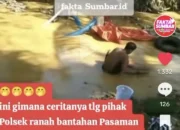 Viral Dugaan Tambang Emas Ilegal di Belakang Mapolsek Ranah Batahan, Kapolsek Beri Penjelasan