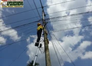 Perkuat Infrastruktur Telekomunikasi, PLN Icon Plus Lakukan Pemeliharaan Jaringan Fiber Optik di Dumai