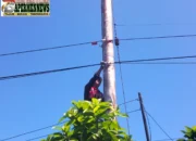 Perkuat Keandalan Infrastruktur Telekomunikasi, PLN Icon Plus Lakukan Pemeliharaan Jaringan Fiber Optik di Jalur Teluk Kabung Utara