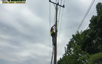 Jaga Keandalan Konektivitas Digital, PLN Icon Plus Lakukan Pemeliharaan Jaringan Fiber Optik di Lubuk Minturun