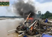 Polres Kuansing Musnahkan 48 Rakit PETI di Sungai Kuantan, Respons Keluhan Warga