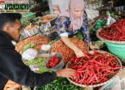 Harga Cabai di Pasar Raya Padang Berfluktuasi, Cabai Keriting Non Lokal Turun, Rawit Hijau Naik