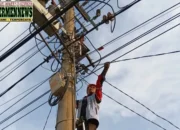 Jaga Stabilitas Layanan Internet, PLN Icon Plus Lakukan Pemeliharaan Jalur Fiber Optik di Dharmasraya
