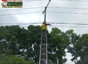Jaga Keandalan Layanan Internet, PLN Icon Plus Lakukan Penertiban Jalur Kabel Fiber Optik di Kota Pekanbaru
