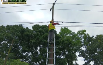 Jaga Keandalan Layanan Internet, PLN Icon Plus Lakukan Penertiban Jalur Kabel Fiber Optik di Kota Pekanbaru