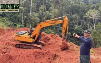 Ditjen Gakkum Kehutanan Hentikan Aktivitas PETI di Hutan Bolaang Mongondow, Dua Orang Jadi Tersangka