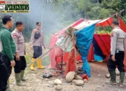 Polisi Musnahkan Pondok dan Pasang Spanduk Larangan PETI di Talamau, Pasaman Barat