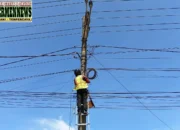 Perkuat Kesiapan Infrastruktur Telekomunikasi, PLN Icon Plus Lakukan Pemeliharaan Jaringan Fiber Optik di Pesisir Selatan