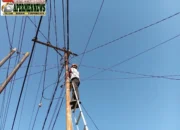 Jaga Keandalan Jaringan Telekomunikasi, PLN Icon Plus Lakukan Pemeliharaan Jaringan Fiber Optik di Pekanbaru