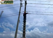 Antisipasi Potensi Gangguan, PLN Icon Plus Lakukan Pemeliharaan Jaringan Fiber Optik di Pangkalan Kerinci