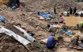 Tambang Emas Ilegal Kian Marak di Limapuluh Kota, Puluhan Ekskavator Keruk Hulu Batang Kampar dan Batang Maek