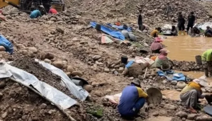 Tambang Emas Ilegal Kian Marak di Limapuluh Kota, Puluhan Ekskavator Keruk Hulu Batang Kampar dan Batang Maek