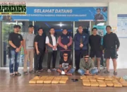 BNNP Sumbar Gagalkan Penyelundupan Hampir 30 Kg Ganja, Pelaku Tabrak Mobil Petugas