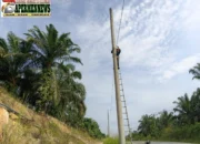 Dukung Layanan Telekomunikasi Andal, PLN Icon Plus Lakukan Pemeliharaan Jaringan Fiber Optik di Wilayah Seminai