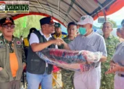 Dinsos Solok Siapkan Dapur Umum, Air Bersih Jadi Kebutuhan Mendesak Pengungsi