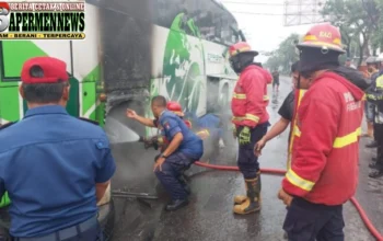 Bus Pariwisata EPA STAR Terbakar di Bandar Buat Padang, 22 Penumpang Selamat